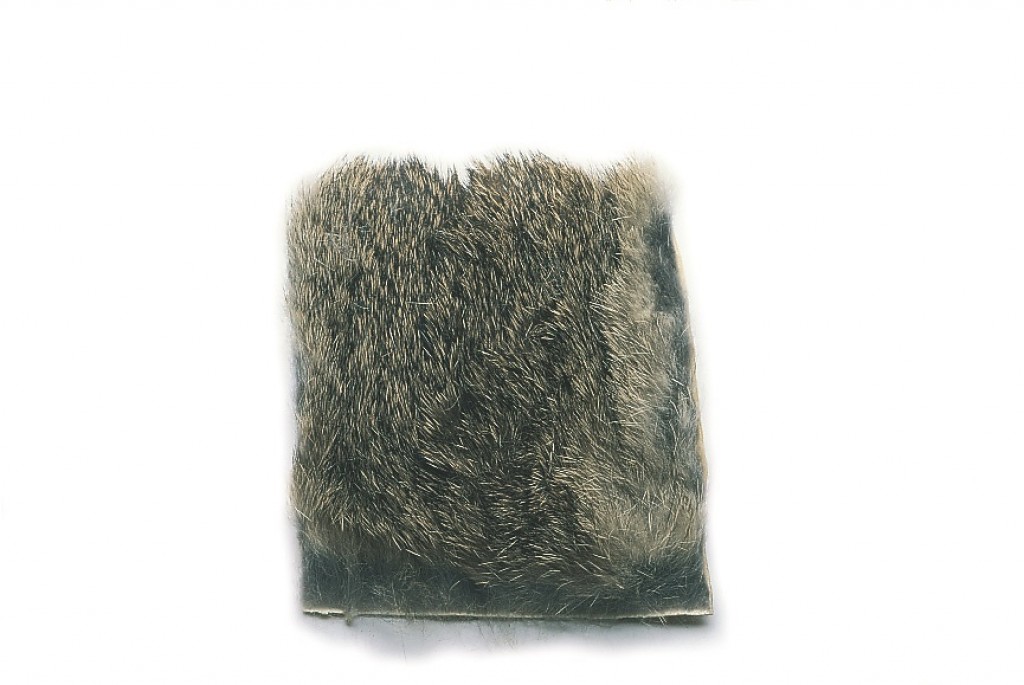 Rabbit Fur